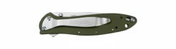 Kershaw 1660OL Leek Olive -PATRIOT KNIFEWORKS Sales 1660ol clipside closed.png 81626.1686082576