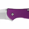 Kershaw 1660PUR Leek Purple -PATRIOT KNIFEWORKS Sales 1660pur profile web.png 89627.1686081365